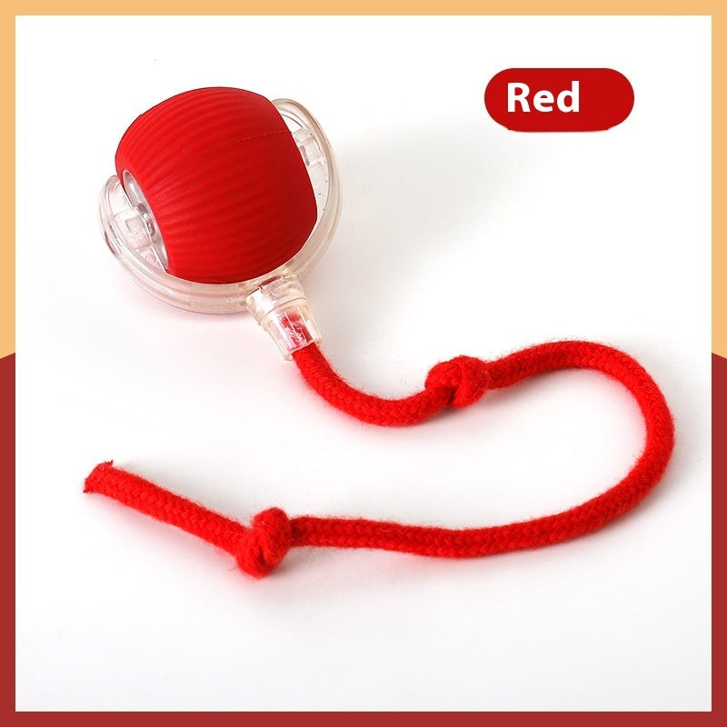 Smart Motion pet Toy