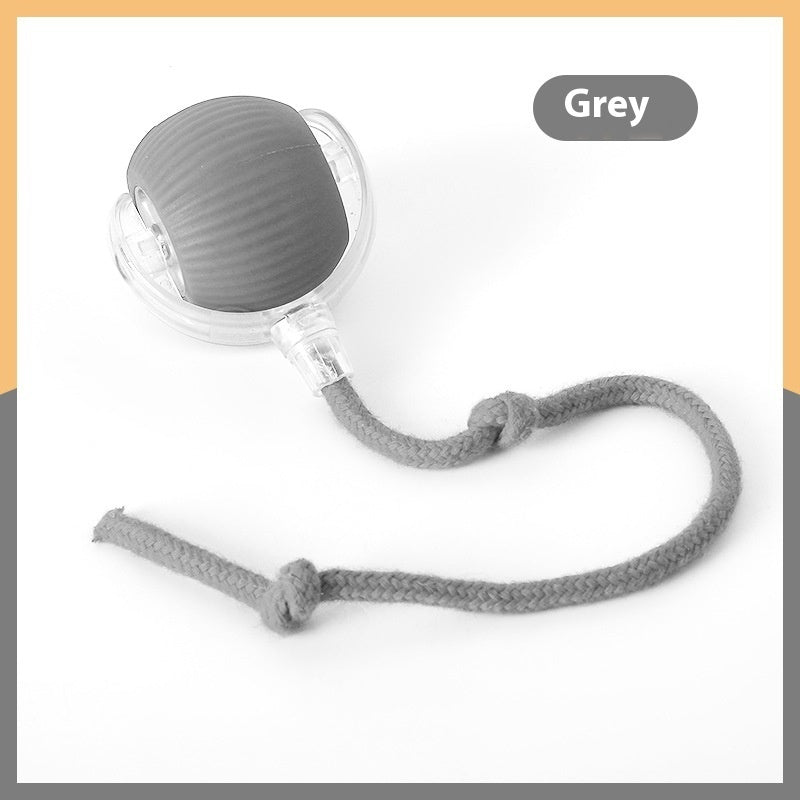 Smart Motion pet Toy