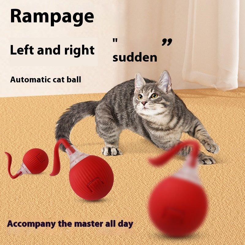 Smart Motion pet Toy