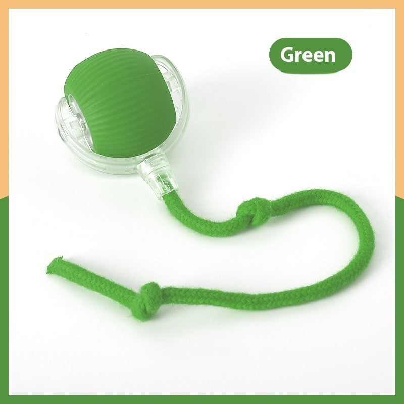 Smart Motion pet Toy