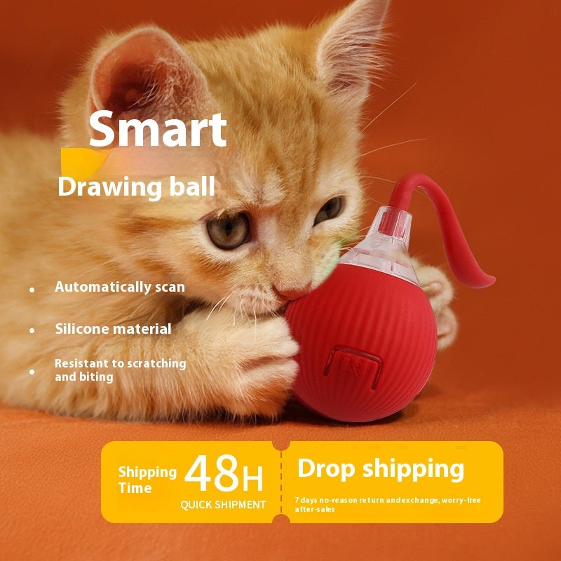 Smart Motion pet Toy