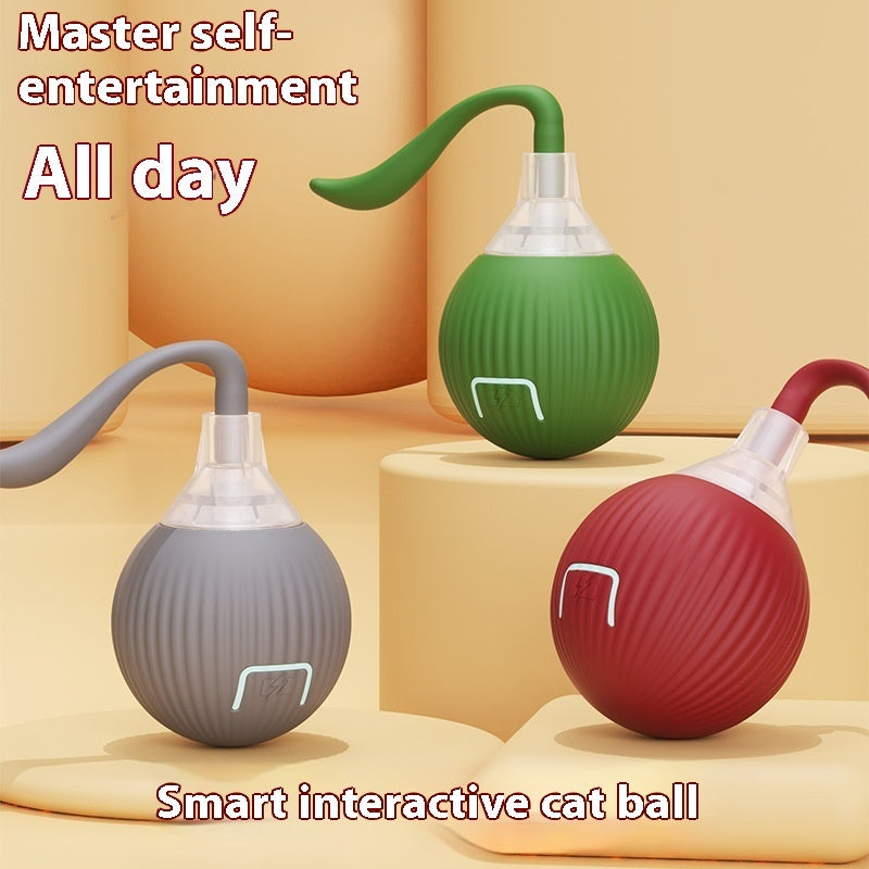 Smart Motion pet Toy