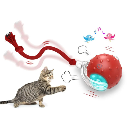 Smart Motion pet Toy